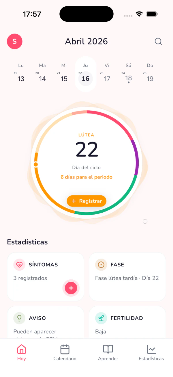 Veil in Spanish